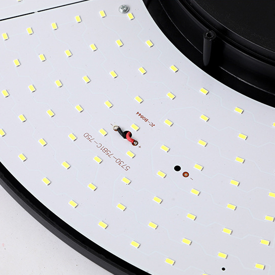 Détails de la lampe de jardin solaire ronde